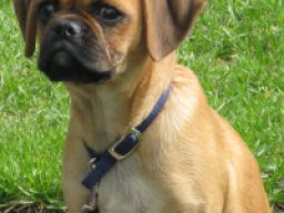 pugalier_20211220_1921206076